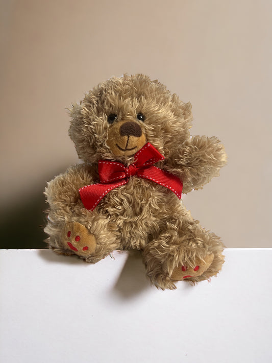 Teddy bear - love